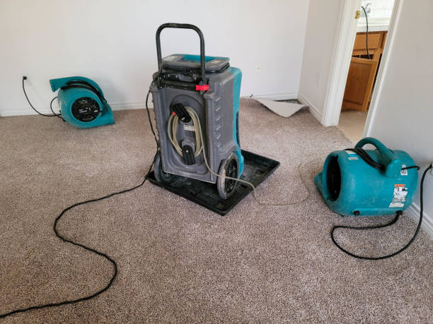 Best Flood Cleanup and Water Removal in Oak Hill, TN