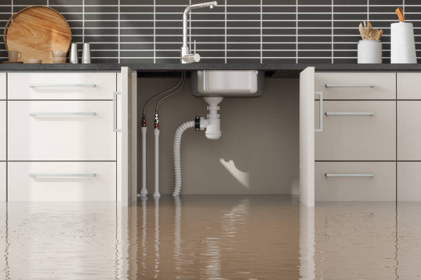 Best Storm and Flood Water Damage Restoration in Oak Hill, TN